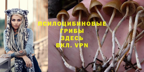 бошки Красноперекопск