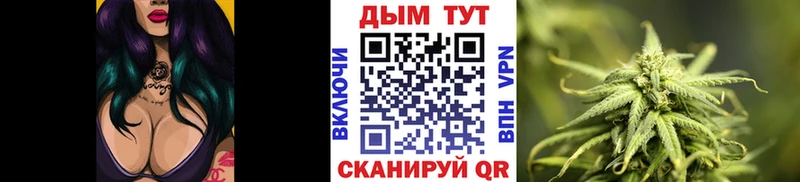 Бошки Шишки семена  Купить  Гатчина 